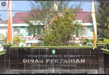 Keberadaan Perangkat Daerah (PD) Dinas Pertanian di Kabupaten Bengkalis dinilai “siluman” alias ilegal (foto/Hari)