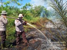 Sebanyak 22 titik hotspot terpantau di Kabupaten Pelalawan (foto/Ardi)