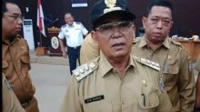 Bupati Pelalawan HM Harris (foto/int)