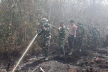 Karhutla lagi-lagi menghanguskan lahan Kelapa dan lahan kosong dengan luas lebih kurang 4 Ha di Desa Sungai Junjangan, Kecamatan Batang Tuaka (foto/int)