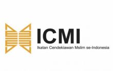 ICMI