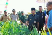 Bupati Kuansing Mursini berbincang dengan petani sawit (foto/ist)