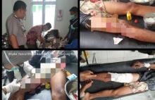 Seorang pencari daun nipah di indragiri hilir diterkam buaya (foto/int)