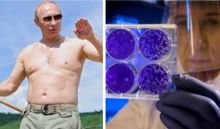 Presiden Rusia Vladimir Putin masih belum cek kesehatan untuk virus corona (foto/int)