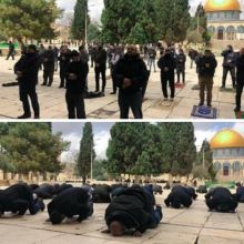 Warga Palestina shalat Zuhur dengan jarak satu meter (foto/int)