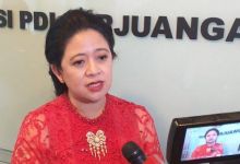 Ketua DPR RI Puan Maharani (foto/int)