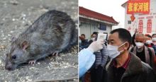 Penyakit Aneh Bermunculan, Pria Dari Tiongkok Ini Tiba-tiba Meninggal Setelah Terinfeksi Hantavirus Di Tengah Wabah Virus Corona