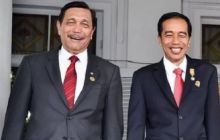 Luhut dan jokowi