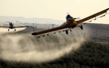 Peswat Israel melakukan penyemprotan pestisida/ilustrasi