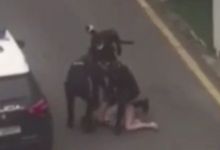 Tak Terima Dengan Peraturan Penguncian di Spanyol, Wanita Ini Nekat Lakukan Aksi Telanjang di Atas Mobil Polisi