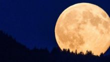 Kejadian alam langka Supermoon dijuluki Super Flower Moon (foto/int)