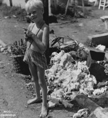 Foto Lawas Anak Belanda Tersenyum Difoto di Kamp Tahanan Jepang di Batavia (foto/int)