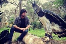 Elang Harpa yang memiliki tubuh dengan ukuran luar biasa dan sekarang viral di medsos. Foto: int 