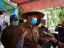 Walikota Pekanbaru, Firdaus