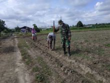 Wujudkan Swasembada Pangan, Serma Jalaludin Dampingi Warga Lakukan Penanaman Jagung