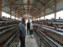 Sambangi Peternakan Ayam, Babinsa Koramil 11/Tambusai Berikan Sejumlah Arahan