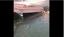 Kolam renang yang berubah fungsi jadi kolam lele, saat ini viral di media sosial. Foto: int 