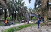 Warga antusias menyaksikan pelaksanaan replanting