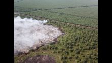 FOTO: Karhutla yang terjadi saat ini di pulau Rupat