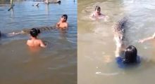 Mengerikan, Empat Anak-anak di Sabah Ini Asyik Berenang dan Bermain Dengan Buaya Di Sungai, Ini yang Terjadi Selanjutnya..