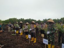 FOTO: Penanaman secara simbolis ribuan bibit nenas