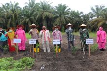 Dusun Suka Jaya Dayun Jadi Kampung Tangguh Nusantara Dalam Rangka Penanganan Pandemi Covid-19 (foto/ist)
