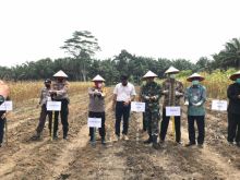 Kapolres Kuansing Bersama Bupati Gaungkan Program Ketahanan Pangan Nasional, Sekaligus Penyerahan Bantuan (foto/Zar)