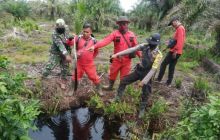Cegah Karhutla, Babinsa Koramil 15/Kuala Kampar Bersama Tim Gabungan Gelar Patroli Terpadu