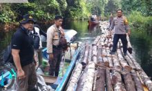 Gerak Cepat Polres Siak Selidiki Dugaan Tindak Pidana Ilegal Logging di Kampung Rawa Mekar Jaya (foto/int)