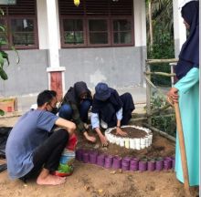 Proses penanaman tanaman obat di SDN 135