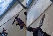 Viral Video Warga Kelilingi Buaya 4 Meter di Persawahan, Netizen: Enggak Ada Harga Dirinya Buaya di Indonesia (foto/int)