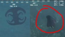 Viral Makhluk Misterius Laut Dalam Mirip Simbol, Netizen Curiga Hewan Langka Ini (foto/int)