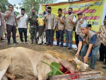 Pemotongan hewan qurban di RA Kopi Aren