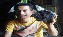 Josua Hutagalung (33) warga Tapanuli Tengah memegang batu hitam yang jatuh dari langit. (Foto: ANTARA)
