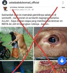 Bermunculan Akun Palsu Catut Nama UAS Bagikan Postingan Hoax, Netizen: Ustadz Sering Difitnah (foto/int)
