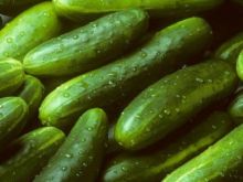 Makan Mentimun Bikin Miss V Becek? Ini Fakta Sebenarnya (foto/int)