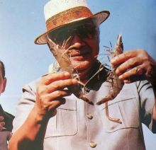 Presiden Soeharto Tersenyum Sedang Panen Udang, Netizen: Nyeselkan Ditumbangin (foto/int)