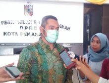 Ketua DPRD Pekanbaru, Hamdani