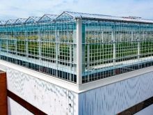 Kanada Bangun Rumah Kaca Terbesar di Dunia yang Berhasil Menumbuhkan 100 Jenis Sayuran