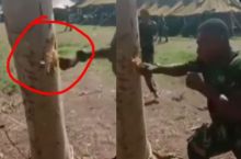 Viral Seorang Prajurit TNI Latihan Tinju Pohon Sampai Hancur, Netizen: NKRI Harga Mati (foto/int)