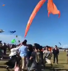 Mengerikan, Gadis Berusia 3 Tahun Terjerat Ekor Layang-layang Hingga Terangkat dari Tanah, Begini Kondisi Selanjutnya...