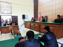 Sidang Karhutla PT Adei Plantation, Saksi Ahli Sebut Sarpras Kurang (foto/int)