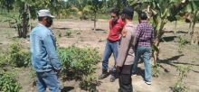 Dukung Program Ketahanan Pangan, Polsek Ukui Ajak Management Perusahaan Lakukan Pengecekan Perkembangan Tanaman