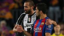 Pirlo Boyong Suarez dari Barcelona, Chiellini Pilih Irit Bicara (foto/int)