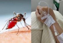 Sama-sama Bikin Panas Tinggi dan Bintik Merah, Ternyata Ini Cara Mudah Bedakan DBD dan Tifus (foto/int)