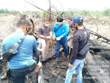 Polres Kuansing Datangkan Saksi Ahli IPB, Guna Lengkapi Perkara Karhutla (foto/zar)