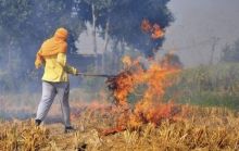 Ahli : Pembakaran Hutan Tidak Hanya Menyebabkan Polusi Udara Tetapi Juga Memburuk Situasi Virus Corona 