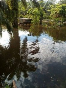 Kondisi Desa Darul Aman yang kebanjiran