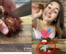Bukan Digigit Atau Dicongkel, Bule Ini Buka Rambutan Pakai Pisau, Netizen: Tutorial Mempersulit Hidup (foto/int)