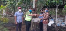 PT RAPP Salurkan Ribuan Bibit kepada Masyarakat (foto/ist)